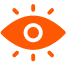 Vision Icon